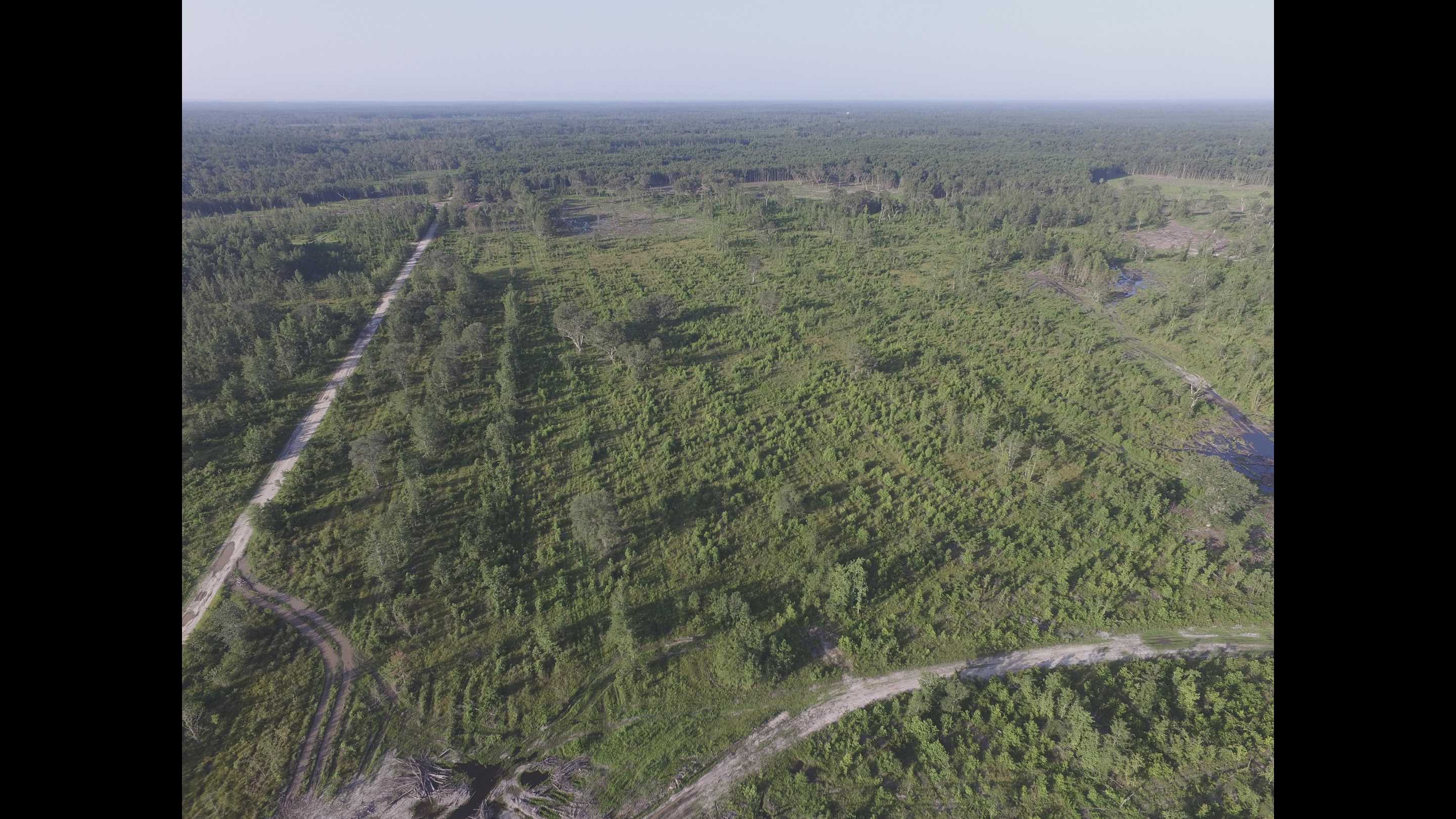 709 +/ ACRES OF LAND